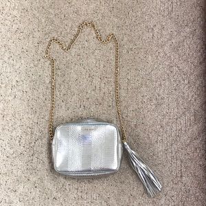 Silver VS purse